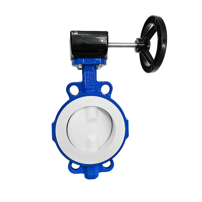 concentric butterfly valve 01