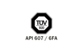 Certificación TUV-API