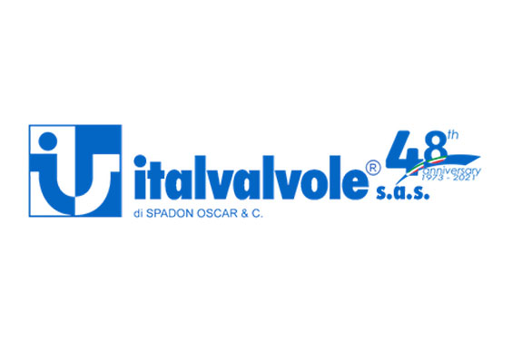 Logotipo de Italvalvole