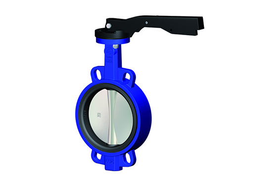 Butterfly Valve 2