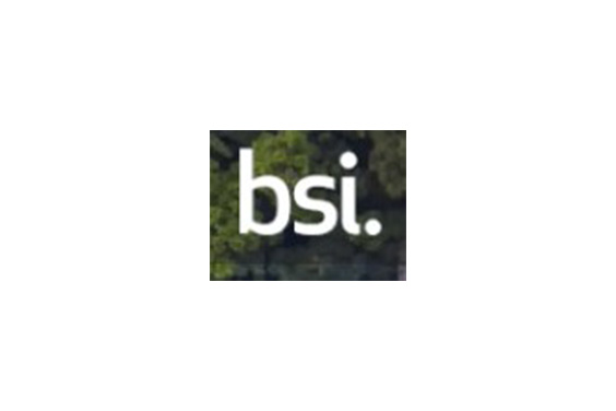 Logotipo de la British Standards Institution