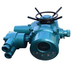 Rotary electric valve actuators