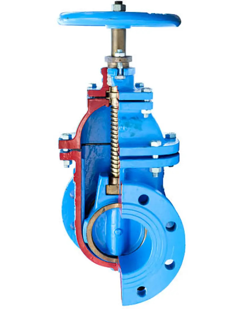 bellow sealed globe valve