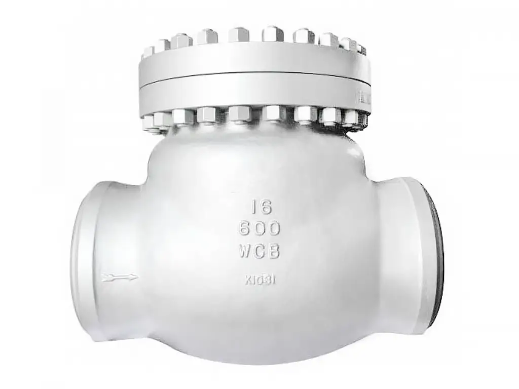 swing check valve 5